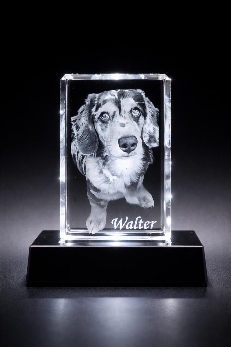 Personalized 3D Crystal Photo Engraving | Custom Pet Memorial Keepsake | Mother's Day Gift (LED Base Included)