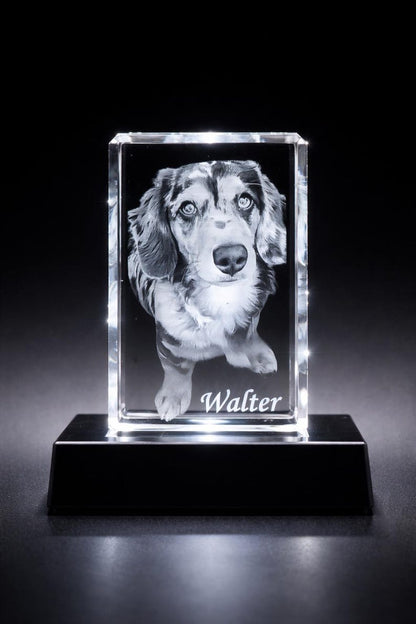 Personalized 3D Crystal Photo Engraving | Custom Pet Memorial Keepsake | Mother's Day Gift (LED Base Included)