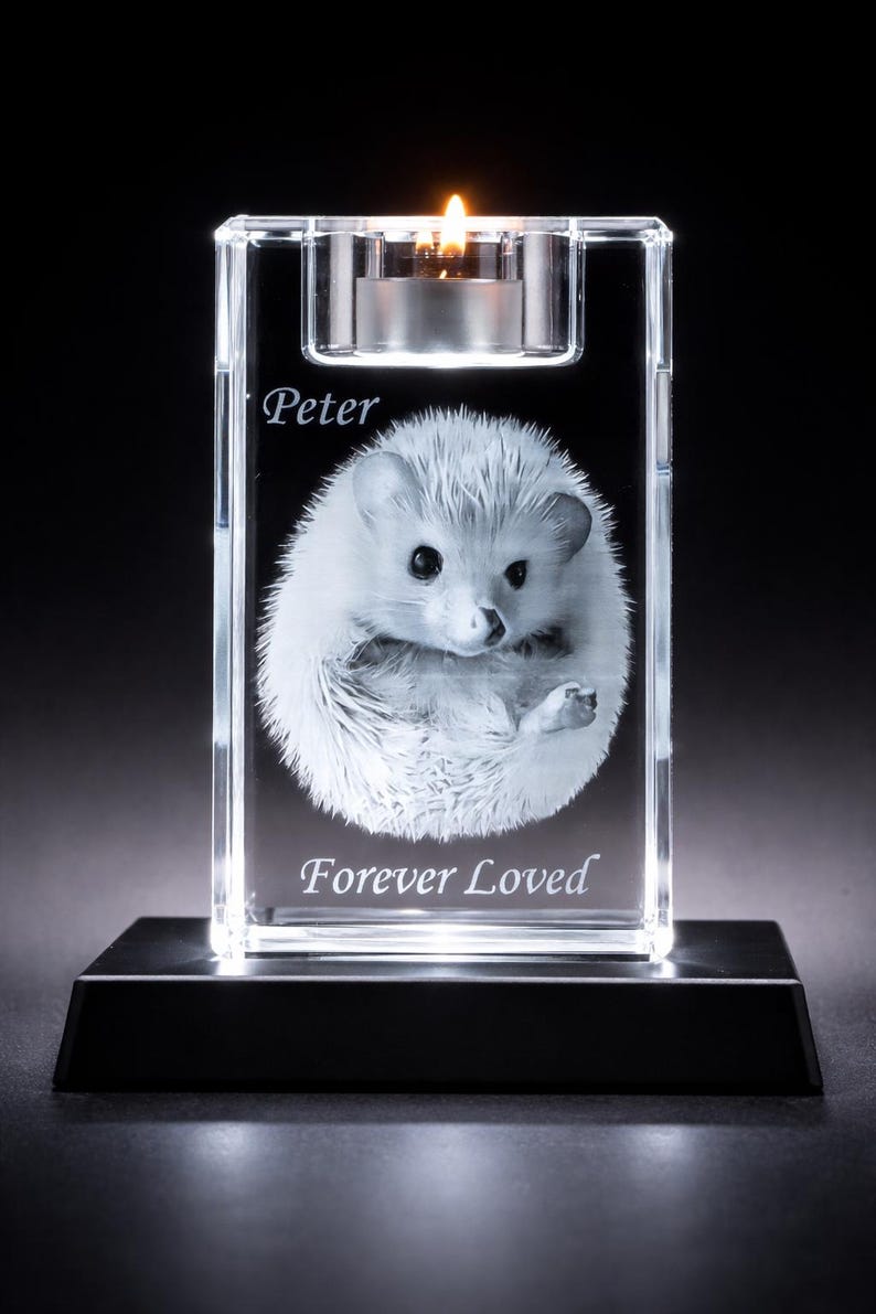 Personalized 3D Crystal Photo Engraving | Custom Pet Memorial Keepsake | Mother's Day Gift (LED Base Included)