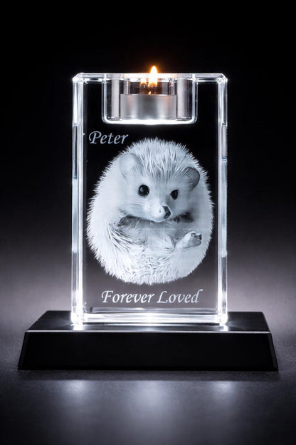 Personalized 3D Crystal Photo Engraving | Custom Pet Memorial Keepsake | Mother's Day Gift (LED Base Included)