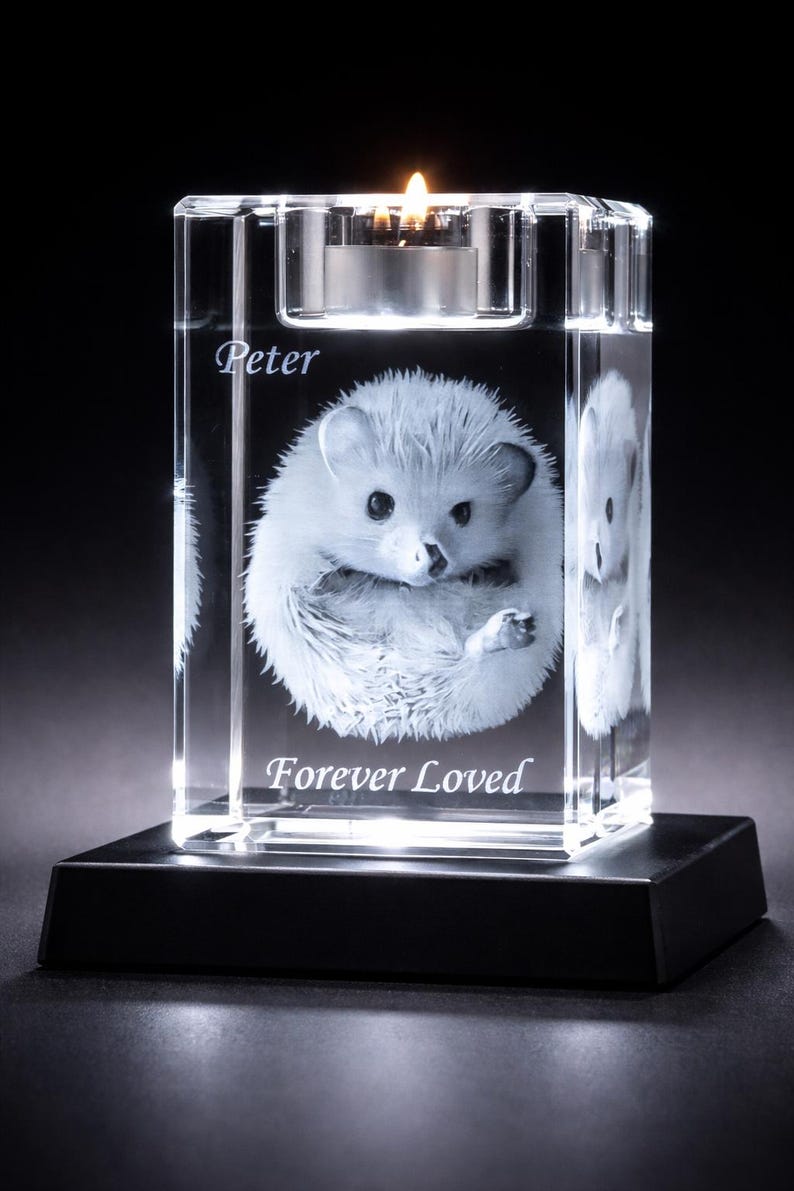 Personalized 3D Crystal Photo Engraving | Custom Pet Memorial Keepsake | Mother's Day Gift (LED Base Included)